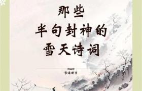 雪花曼舞寒瑟瑟，落叶纷扬韵有声，且向安然觅逸情……