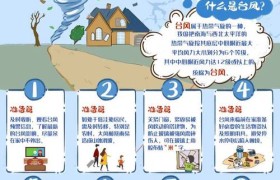 台风的具体意思是什么?