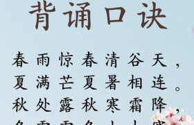 冬雪雪冬小大寒代表哪些节气