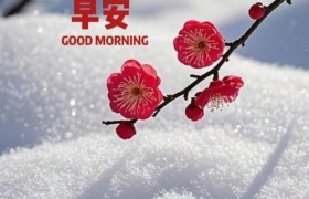 早晨安好：天冷记得：添一件衣服，添一份温暖，添一份快乐，早安