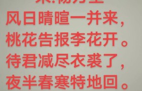该词围绕春寒主题展开，上阕以“水榭春寒”“梅雪漫阶”“竹云堕墙”等意象勾勒早春景象，融入“十二楼中，玉妃卧冷”的想象