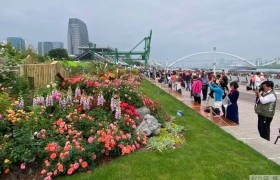 “五一”期间上海全市超530万人次游园