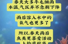 宁钓雨前不钓雨后什么意思