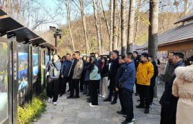 全国文化和旅游市场信用和质量工作研讨培训班举办