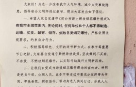 石家庄：市民身体力行过低碳年 遵守“禁炮”规定