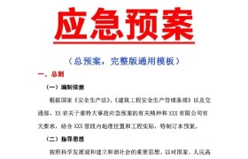 大西铁路客运专线站前施工地震救援应急预案.docx