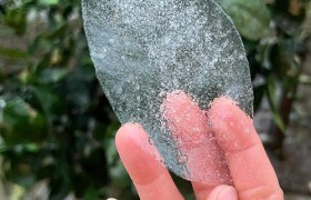 冻雨