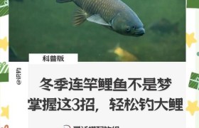 野钓鲤鱼的五大绝招，轻松找鲤鱼扎堆的地方，找准了位置连竿上鱼