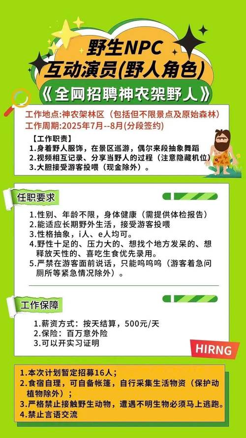 伴游‮聘招‬中的核心条件有哪些？