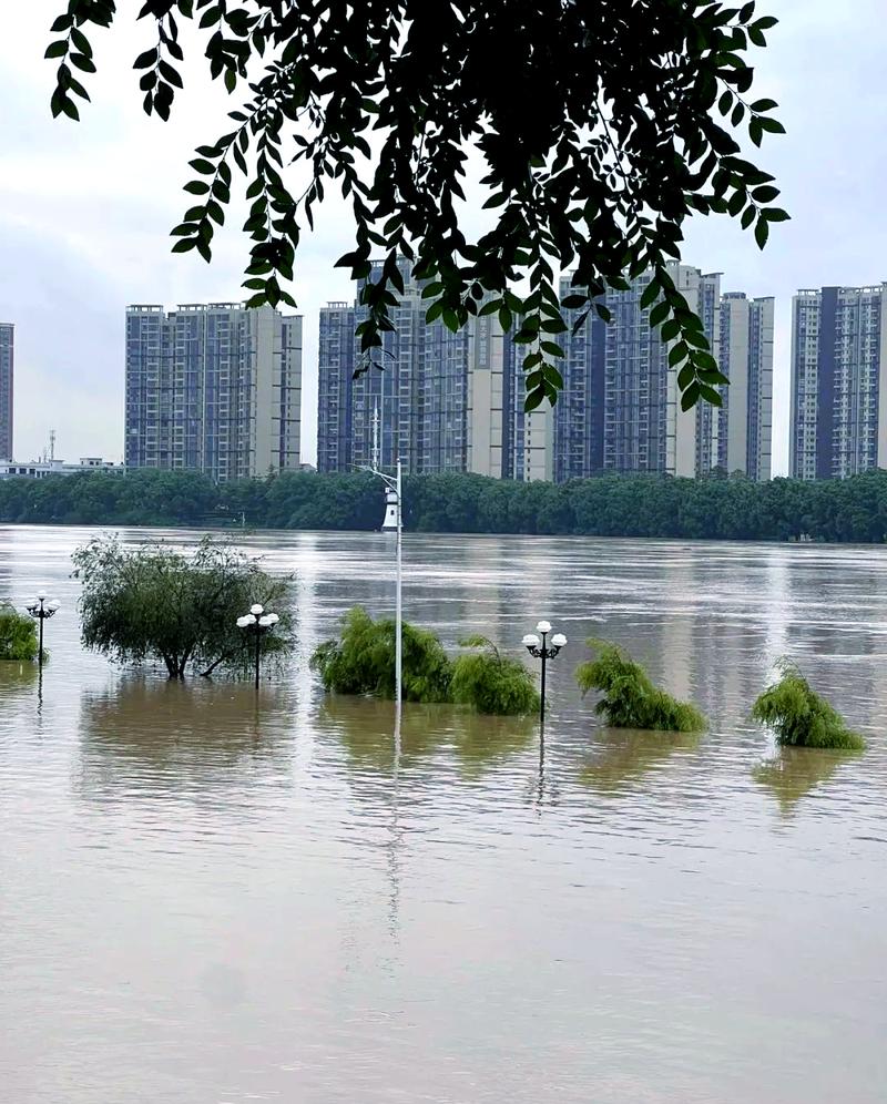 水位仍继续上涨！东莞发布水情预警