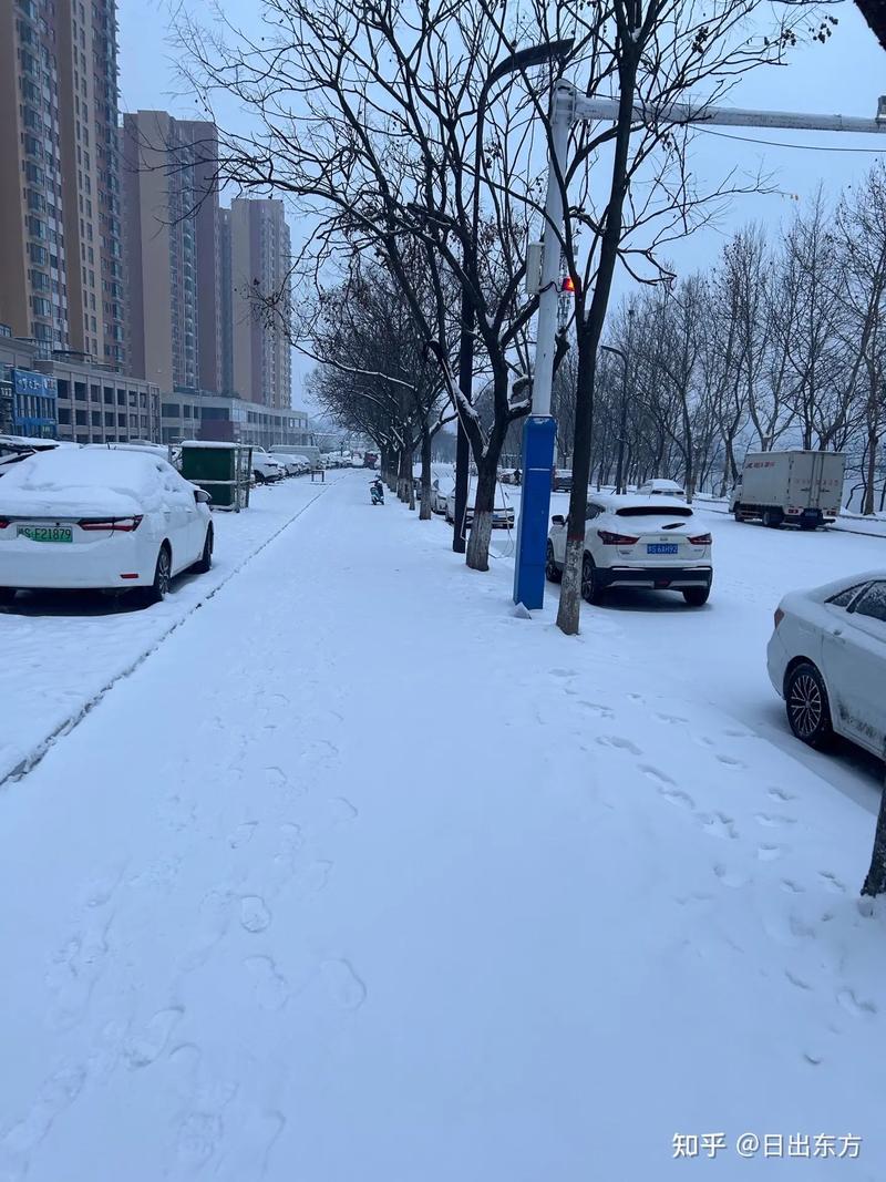 哈尔滨要下雪啦！一场中雪将覆盖全市大部分区域