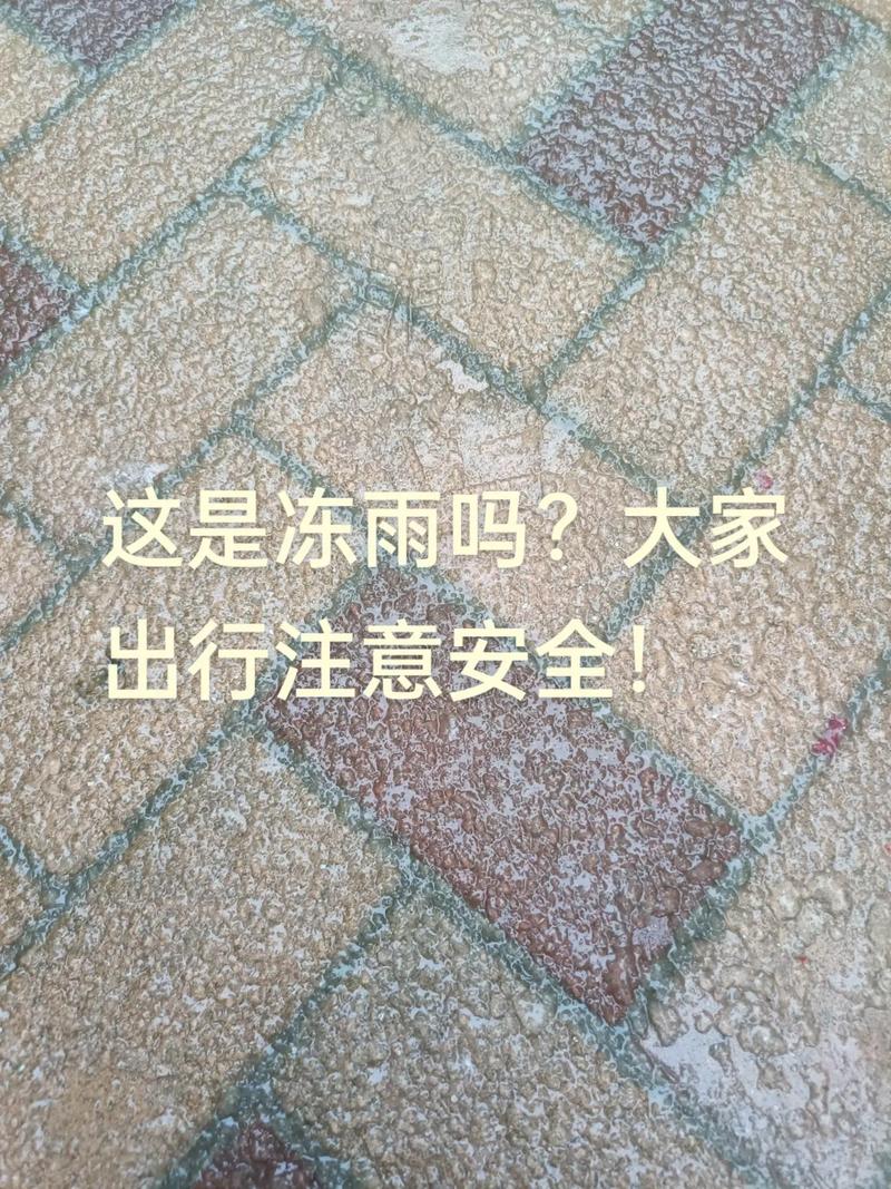 “冻雨”到底是什么雨？
