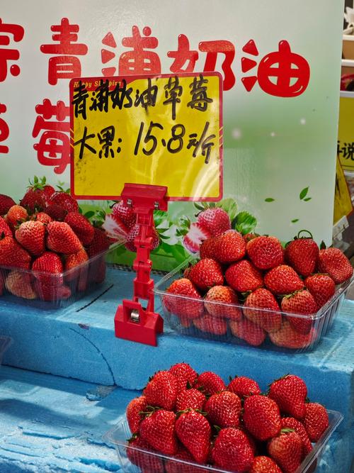 “凭农商行银行卡采摘草莓便宜了” 成武农商行异业联盟实现银商共赢