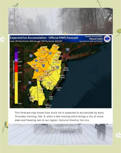 极端天气中的生存策略，应对美国暴风雪的紧急措施