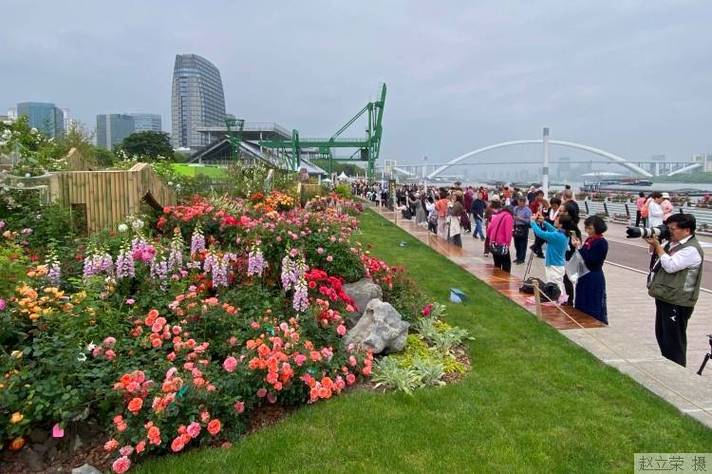 “五一”期间上海全市超530万人次游园