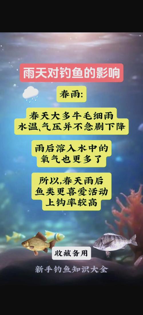 宁钓雨前不钓雨后什么意思