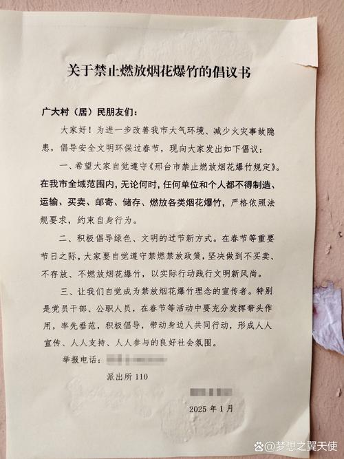 石家庄：市民身体力行过低碳年 遵守“禁炮”规定