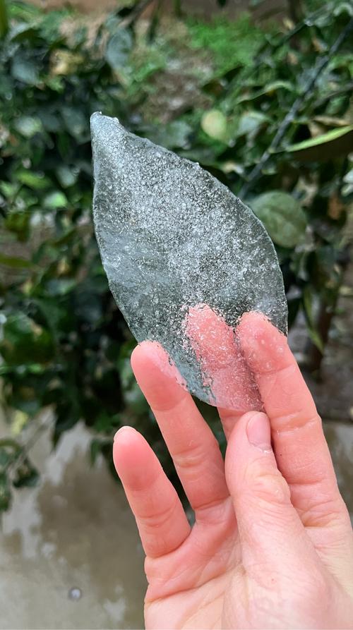 冻雨