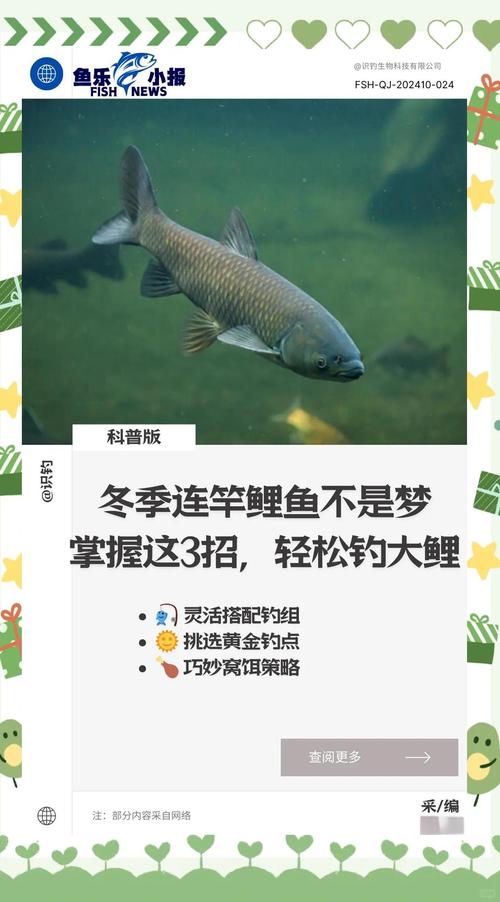野钓鲤鱼的五大绝招，轻松找鲤鱼扎堆的地方，找准了位置连竿上鱼