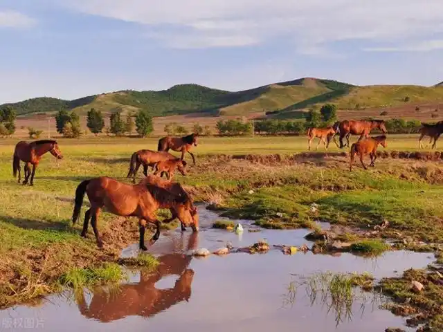 三天玩转中国！这8个绝佳短途旅行地，让你小长假爽到不想回家！