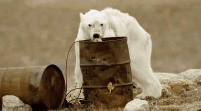 陆地上现存最大的食肉动物是北极熊…@长安乱弹的动态