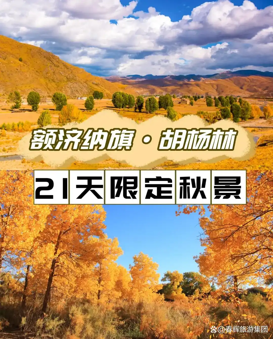 额济纳旗胡杨林即将进入最佳观赏期！一年仅美21天，错过再等一年！