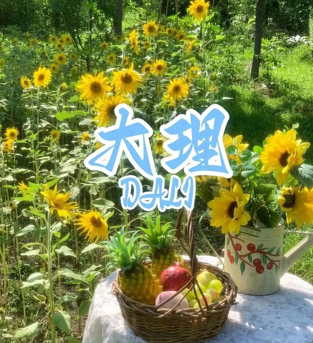 8-9月大理保姆级旅游攻略（路线规划+必打卡清单+超详细行程＋避坑指南）这一篇全搞定！