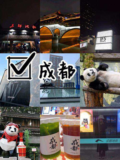 成都五日伴游陪玩日记✨在烟火与诗意间疯狂心动💓
