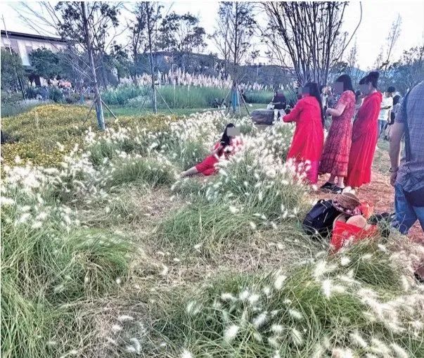 劝不住，根本劝不住！昆明又一网红景点遭“野蛮打卡”