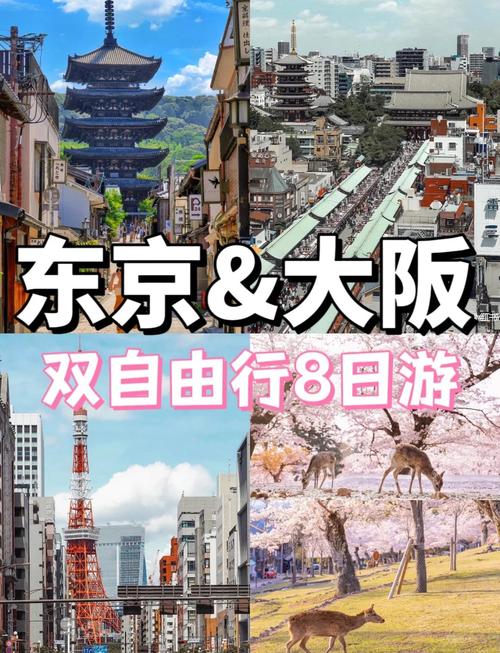 “看不见”的日本游