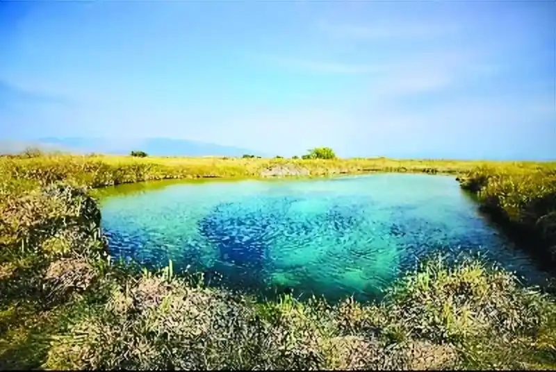 在墨西哥“最佳旅游乡村”寻找古老生命