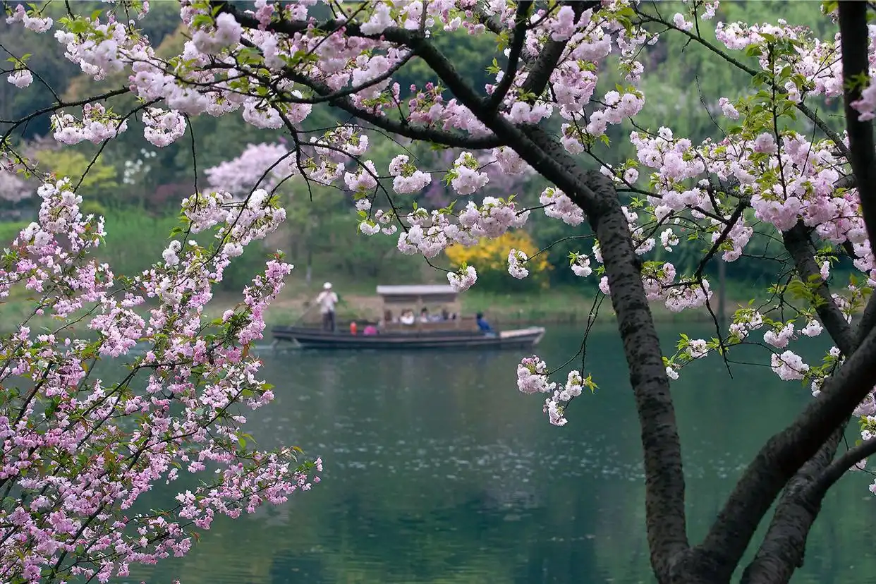 想出游的看过来！全国多地景区免门票“抢客”……