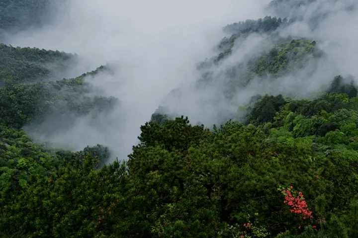 江西的名山名水，你去过几处？