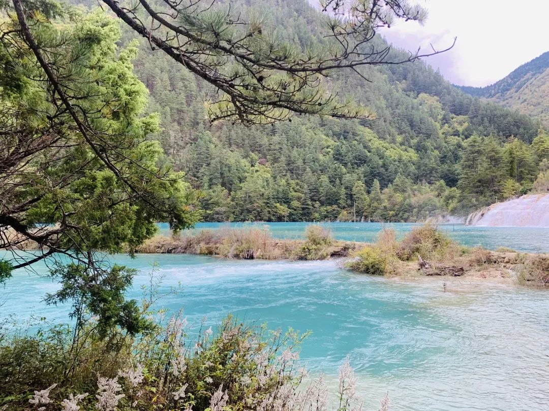 九寨沟蜜月之旅成逛“三无”购物店，谁之过？