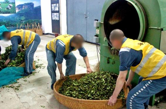 一杯清茶，如何成为高墙内的心理健康密码 |“好故事”展播