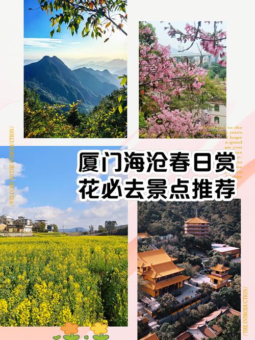 厦门市旅游市场逐渐回暖　赏花之旅成为主旋律