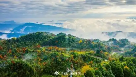 瓦屋山景区正式开启金秋彩林徒步季 瓦屋山景区免门票政策延续至11月底