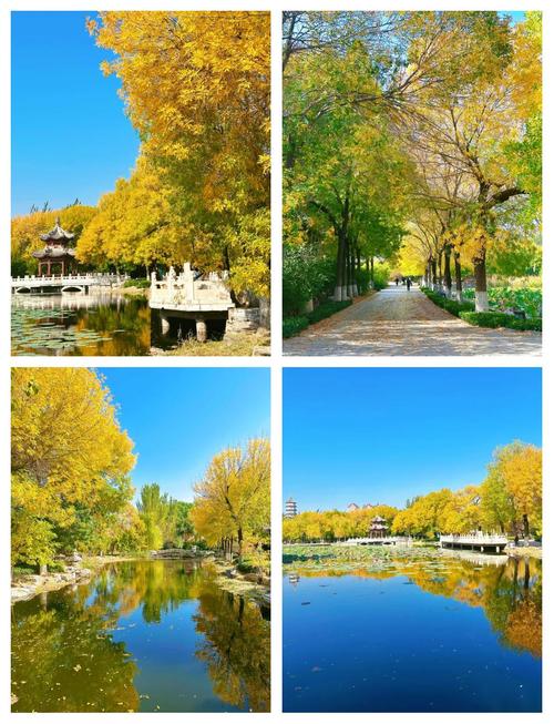 天津哪里的秋景最适合自驾游？