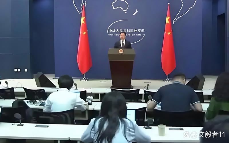 外交部：美方挥舞签证大棒吓不倒真正的有识之士