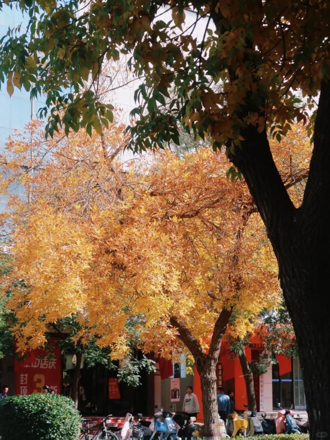 我的武威旅行日记 ‖ 武威旅游的体验感超好！假期正确决定√